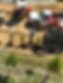 Tri Scapes Tree Farm 10-17-25-10.jpg